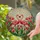 Flamingo Tulip Stained Glass Mosaic - Jewel Tone Garden Shattered Glass Stained Glass Suncatcher - 2
