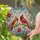 Highly Detailed Male Female Cardinal Stained Glass Red Tulips - Tiffany Window Art Stained Glass Suncatcher - 2
