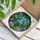 Blue Jays Pink Lotus Stained Glass Art, Tiffany Mosaic, Intertwined Branches Teal Background Stained Glass Suncatcher - 3