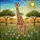 Adult Juvenile Giraffe Savanna Wildflower Landscape Tiffany Style Glass Jewel Tone Decor Stained Glass Suncatcher - 5