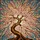 Glowing Pink Cherry Blossom Gnarled Tree Branch Intricate Tiffany Stained Glass Mosaic Stained Glass Suncatcher - 5