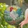 White Rooster Stained Glass Art - Tiffany Style Jewel Tone Iridescent Sunrise Landscape Stained Glass Suncatcher - 2