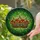 Golden Royal Crown Jewels, Rubies Emeralds Sapphires - Tiffany Glass Green Mosaic Art Stained Glass Suncatcher - 2