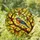 Vibrant Small Bird Tiffany Stained Glass Mosaic Art – Jewel Tones, Branch & Leaves Stained Glass Suncatcher - 1