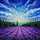 Lavender Field Purple Blossoms Cypress Tree Stained Glass Art Tiffany Style Jewel Tones Stained Glass Suncatcher - 5