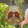 Bald Eagles Marigold Flowers Stained Glass Art - Tiffany Style Mosaic Sky Intricate Patterns Stained Glass Suncatcher - 2