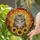 Fluffy Tabby Cat Sunflowers Stained Glass Art - Tiffany Style Mosaic Cat Lover Gift Stained Glass Suncatcher - 2