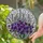 Tiffany Stained Glass Purple Blossom Bouquet - Iridescent Textured Mosaic Art Stained Glass Suncatcher - 2