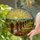 Bald Monks Pilgrims Winding Path, Stained Glass Tiffany Style Sunrise Sunset Dog Art Stained Glass Suncatcher - 2