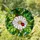 Tiffany Style Stained Glass White Flower Red Ladybug Green Leaves Art Home Decor Gift Stained Glass Suncatcher - 1