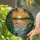 Pink Flamingo Tropical Sunset Stained Glass Mosaic - Tiffany Style Palm Leaf Home Decor Stained Glass Suncatcher - 2