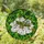 Grasshopper White Flower Stained Glass Art - Green Foliage Tiffany Style Jewel Tones Stained Glass Suncatcher - 1