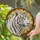 Majestic White Tiger Stained Glass Art - Detailed Tiffany Style Mosaic Artwork Stained Glass Suncatcher - 2