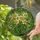 Tiffany Stained Glass Daffodil Mosaic - Intricate Jewel Tone Garden Floral Art Stained Glass Suncatcher - 2