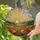 Tiffany Stained Glass Poppy Field Butterfly Mountain Sunset Rolling Hills Art Stained Glass Suncatcher - 2