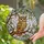 Brown Tan Owl Stained Glass Tiffany Art - Tree Branch Leaves Berries Mosaic Glass Design Stained Glass Suncatcher - 2