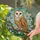 Barn Owl Cherry Blossom Stained Glass - Tiffany Forest Sky Mosaic Jewel Tones Decor Stained Glass Suncatcher - 2