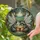 Opossum Raccoon Fairy Wings, Stained Glass Mosaic Forest, Storybook Reading Art Stained Glass Suncatcher - 2