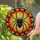 Black Tarantula Spider Stained Glass Mosaic - Intricate Spiderweb Jewel Tones Art Stained Glass Suncatcher - 2