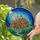 Medieval Village Glowing Windows Pointed Roofs Full Moon Starry Night Tiffany Glass Art Stained Glass Suncatcher - 2
