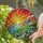Tiffany Style Cottage Sunset Ocean Mosaic - Green Hillside Daisy Jewel Tone Art Stained Glass Suncatcher - 2