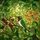 Vibrant Tiffany Stained Glass Hummingbird Berries Flowers Leaves Decor Gift Stained Glass Suncatcher - 5