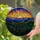 Golden Sun Mountain Sunset Forest Stained Glass - Tiffany Style Landscape Home Decor Stained Glass Suncatcher - 2