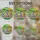 Curious Donkeys Rustic Wooden Fence Stained Glass - Rolling Green Hills & Radiant Sun Art Stained Glass Suncatcher - 4