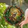 Red Cap Woodpecker Holly Berries Stained Glass - Tiffany Style Jewel Tone Art Mosaic Stained Glass Suncatcher - 2