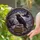 Black Raven Red Eye Stained Glass Tiffany Art on Books - Twilight Landscape Jewel Decor Stained Glass Suncatcher - 2