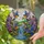 Blue Head Orange Breast Songbirds Waterfall Lilac Bushes Tiffany Stained Glass Sky Mosaic Stained Glass Suncatcher - 2