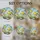 American Goldfinch Stained Glass Daisies Wildflowers Stream Landscape Tiffany Style Stained Glass Suncatcher - 4