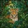 Majestic Leopard Jungle Stained Glass Suncatcher - Tiffany Style Blue Eyes Forest Canopy Art - 5