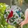 Red Cardinal & Hummingbird Stained Glass Mosaic - Magnolia Tiffany Style Nature Decor Stained Glass Suncatcher - 2