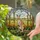 Solitary Kangaroo Australian Landscape Stained Glass - Tiffany Jewel Tone Eucalyptus Art Stained Glass Suncatcher - 2