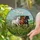 Three Galloping Horses Tiffany Style Stained Glass White Chestnut Black Green Hills Sky Stained Glass Suncatcher - 2