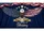 Bald Eagle American Flag 1776-2026 - USA 250th Anniversary '250 Years of Blessing' Doormat - 7