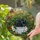 Sleeping Black Cat Stained Glass Garden Fern Planter - Tiffany Mosaic Jewel Tone Rainbow Stained Glass Suncatcher - 2