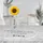 Personalised Mothers Day Gifts, Flower Gift for Mum, Birthday Gift Plaque for Mum, If Mothers Were Flowers Gift, Mom Gifts, Acrylic Plaque - 3