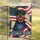 Rottweiler Dog Betsy Ross Flag 1776 Constitution - USA 250th Anniversary Proud American Garden Flag - 5
