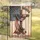 Cross American Flag Military Boots Helmet Poppies - USA 250th Anniversary God Bless America Garden Flag - 5
