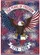 Bald Eagle American Flag Texas Map - USA 250th Anniversary 1776-2026 Freedom Garden Flag - 6