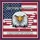 Bald Eagle American Flag USA Map 250th Anniversary (1776-2026) Semiquincentennial Garden Flag - 6