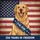 Golden Retriever American Flag 1776-2026 We The People - USA 250th Anniversary Garden Flag - 6
