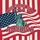Distressed Statue of Liberty American Flag 250 Years of America (1776-2026) Anniversary Garden Flag - 6