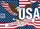 Bald Eagle American Flag 1776-2026 - USA 250 Years of Freedom Anniversary Gift for Veterans Yard Sign - 6