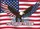 Bald Eagle American Flag 1776-2026 - We The People 250 Years of Freedom Celebration Yard Sign - 6
