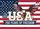 Bald Eagle American Flag USA 1776-2026 - 250 Years of Freedom Independence Day Gift for Dad Yard Sign - 6