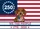 Dachshund American Flag 250th Anniversary 1776-2026 We The People Patriotic Art Yard Sign - 6