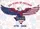 Bald Eagle Texas Flag 250 Years Freedom 1776-2026 - USA Patriotic Independence Day Yard Sign - 6